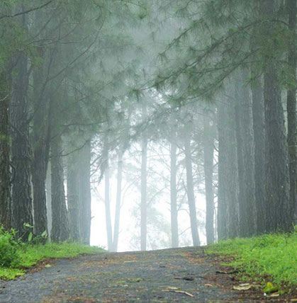 Local tourist attractions near Time Square Inn in Kerala